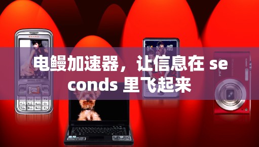 电鳗加速器,让信息在 seconds 里飞起来 电鳗加速器,让信息在 seconds 里飞起来