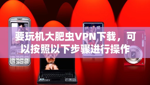 要玩机大肥虫VPN下载，可以按照以下步骤进行操作