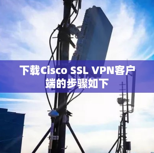 下载Cisco SSL VPN客户端的步骤如下