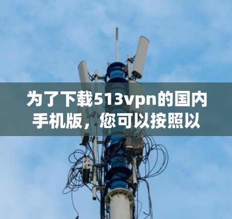 为了下载513vpn的国内手机版，您可以按照以下步骤进行