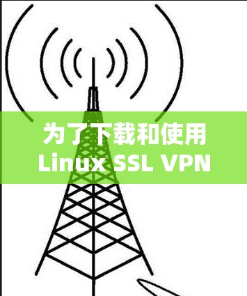 为了下载和使用Linux SSL VPN软件，您可以按照以下步骤进行操作