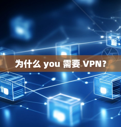 为什么 you 需要 VPN？