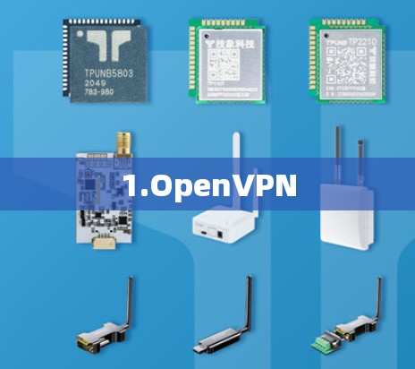 1.OpenVPN 1.OpenVPN