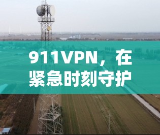 911VPN,在紧急时刻守护你的信息安全 911VPN,在紧急时刻守护你的信息安全