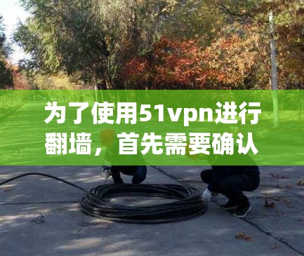 为了使用51vpn进行翻墙，首先需要确认你的网络是否允许下载和使用该软件。如果你的网络受到限制，建议避免下载，转而使用其他安全可靠的网络服务。以下是详细的步骤建议