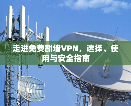 走进免费翻墙VPN,选择、使用与安全指南 走进免费翻墙VPN,选择、使用与安全指南