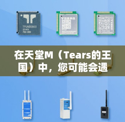 在天堂M(Tears的王国)中,您可能会遇到VPN的使用需求。以下是关于如何在天堂M中使用VPN的一些关键点 在天堂M(Tears的王国)中,您可能会遇到VPN的使用需求。以下是关于如何在天堂M中使用VPN的一些关键点