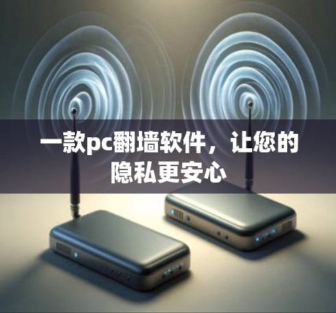 一款pc翻墙软件,让您的隐私更安心