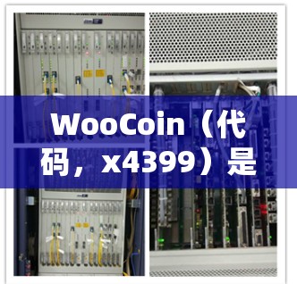 WooCoin（代码，x4399）是一个以太坊的自由加密货币，提供了一种免费的使用方式，通过购买WooCard在WooCoin上进行交易，用户会自动获得奖励。以下是对WooCoin的详细介绍