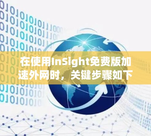 在使用InSight免费版加速外网时，关键步骤如下
