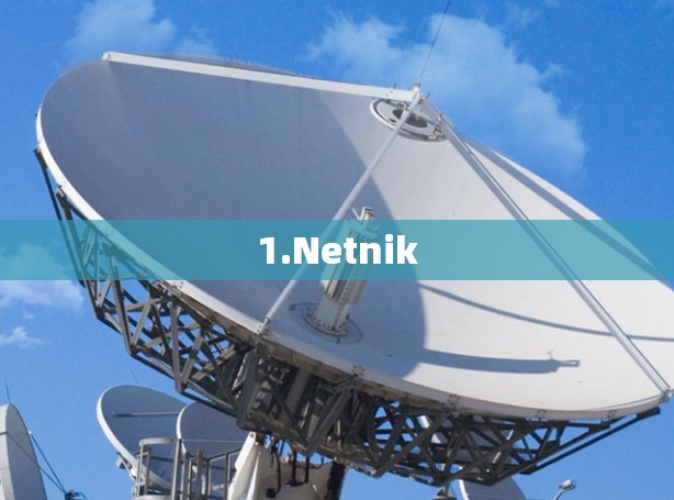 1.Netnik