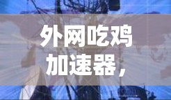 外网吃鸡加速器，加速游戏，提升性能的高效工具