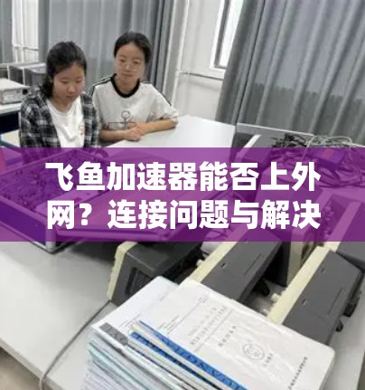 飞鱼加速器能否上外网？连接问题与解决方案