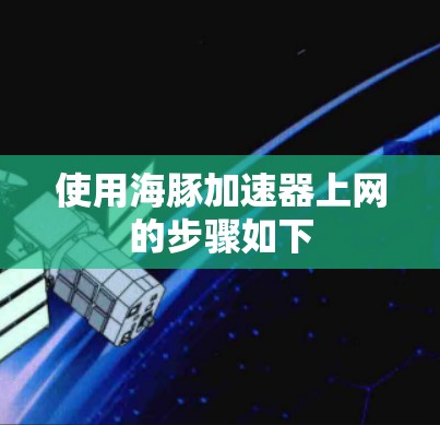 使用海豚加速器上网的步骤如下