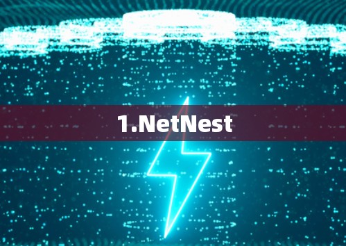1.NetNest