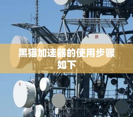 黑猫加速器的使用步骤如下