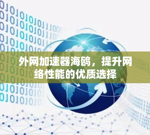 外网加速器海鸥,提升网络性能的优质选择