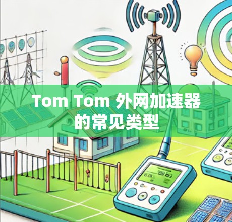 Tom Tom 外网加速器的常见类型