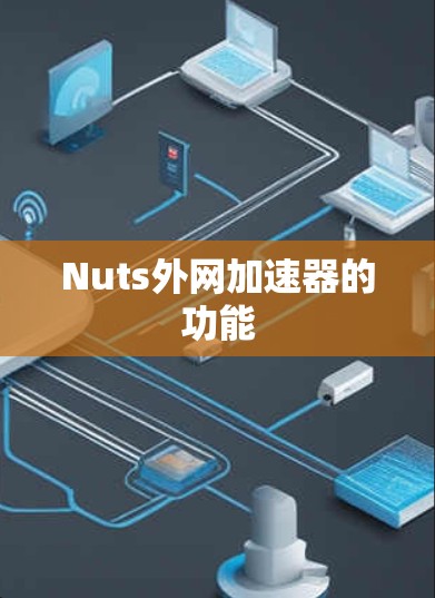 Nuts外网加速器的功能 Nuts外网加速器的功能